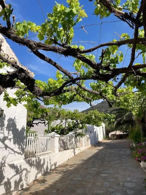 Real Fundicion De Alcora Villa Canjayar Spain