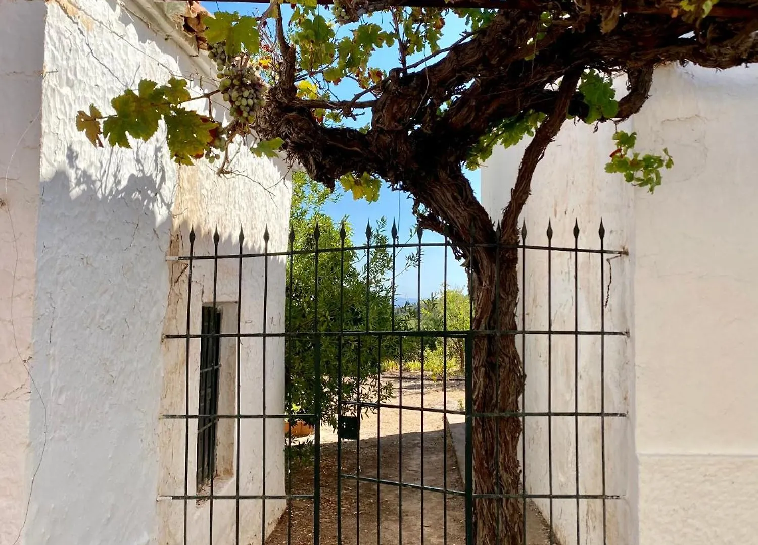 Real Fundicion De Alcora Villa Canjayar